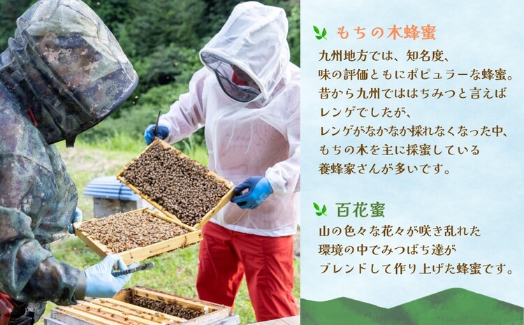 みよしのみつ(百花蜜・もちの木)220g×2本【はちみつ 百花蜜 もちの木 国産 ミツバチ 甘み スッキリ コク】K063019