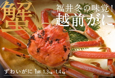 【先行予約！9月30日までの特別価格！！】【産地直送】福井冬の味覚！越前がに 1杯 1.3～1.4kg