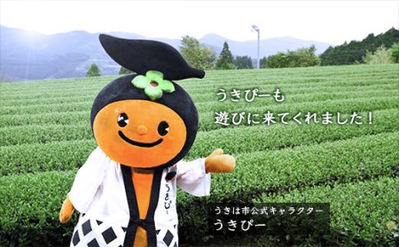 P555-04 堀江銘茶園 粉末緑茶 4袋