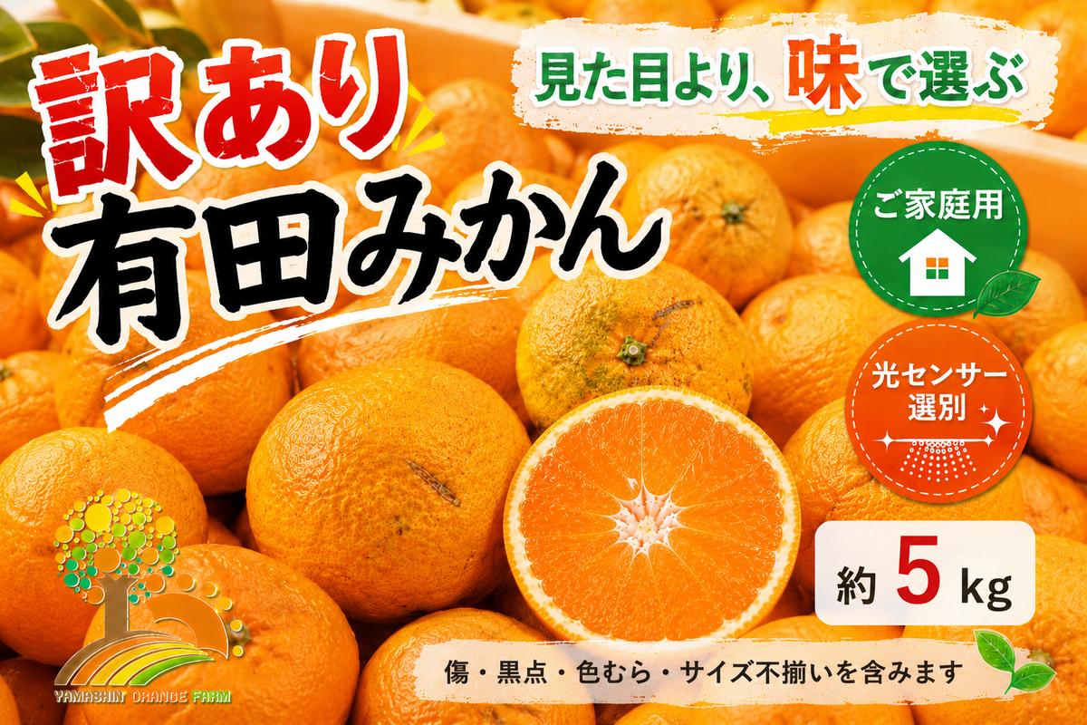 【先行受付】【訳あり】有田みかん 5kg ｜ 農家直送 訳あり ご家庭用 サイズ混合 光センサー選別 温州みかん みかん 訳あり わけあり 家庭用