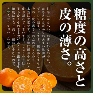 【愛媛限定】驚きの甘さ!幻の柑橘《甘平》2kg(M～3L玉混合)【D31-55】【1660047】 YWTAC044