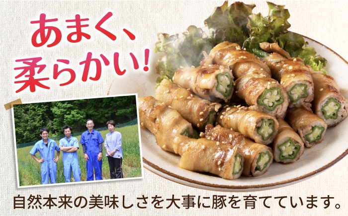 豚バラ 豚肉 スライス 豚バラ 豚ばら バラ肉 しゃぶしゃぶ 豚しゃぶ 薄切り肉 バラ 小分け 冷凍 国産 パラパラ 白川町