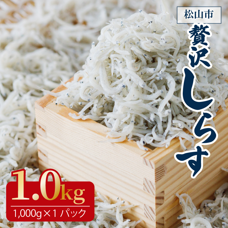 【大人気】 しらす 1kg ( 1kg × 1パック ) 冷凍 約15人前 しらす丼 丼ぶり 魚 さかな ご飯 ごはん 炒飯 チャーハン パスタ スパゲティ サラダ 卵焼き お取り寄せ グルメ 人気 おすすめ 愛媛県 松山市 しらす