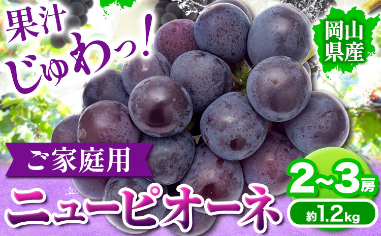 
                  【令和8年度先行予約】岡山県産 ニューピオーネ ご家庭用 1.2kg 2 ~ 3房 テレビせとうち株式会社《8月末-10月中旬頃出荷》岡山県 浅口市 ぶどう 葡萄 大粒 果汁 果物 フルーツ 訳あり
                