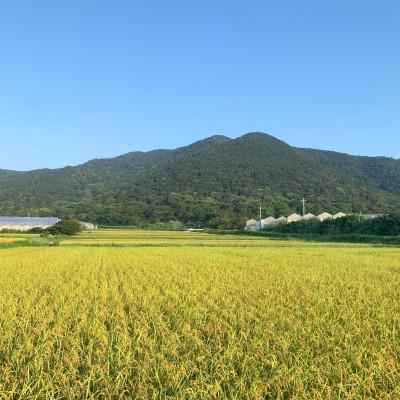 ふるさと納税 田原市 【令和7年産】自然栽培のお米2kg(玄米) |  | 01