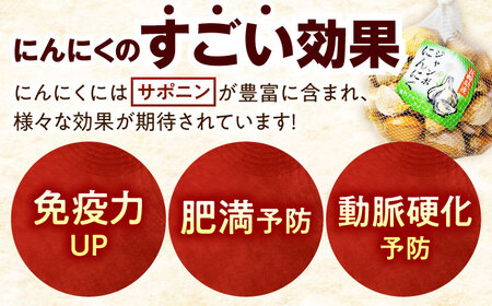 佐々町産ジャンボニンニク1kg[QAT021]