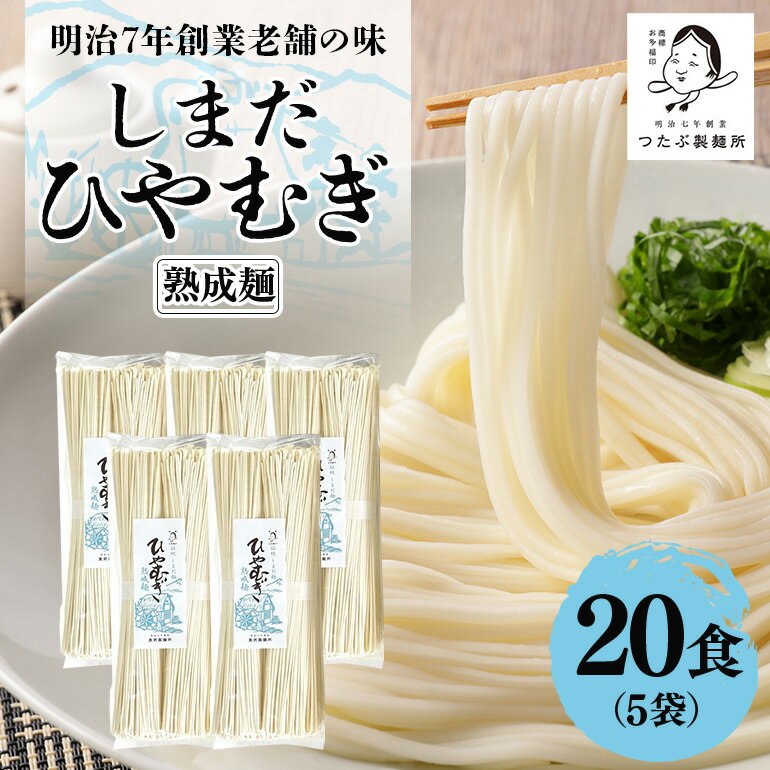 【ふるさと納税】 麺 曲がり麺 しまだ麺 冷麦 5袋 20食 送料無料 y12-166