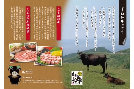 神話の国島根が誇る逸品 しまね和牛 ローススライス 肉 牛肉 和牛 国産牛 ロース 黒毛和牛 お祝い 父の日 【1304】