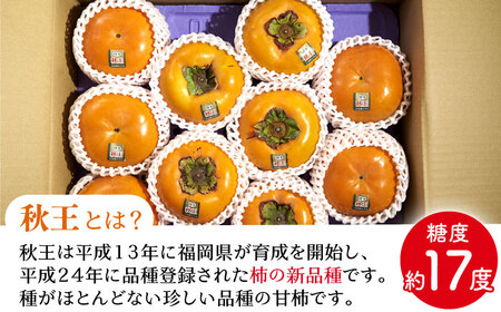 【2025年10月中旬より順次発送】福岡産ブランド 秋王柿 約3kg(8-12玉) 吉富町/南国フルーツ株式会社[BGAG016]