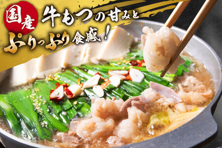 もつ鍋 老舗人気店 博多 本格もつ鍋 4～5人前 2セット 6回定期便 総計12セット [博多もつ鍋 太閤 福岡県 筑紫野市 21761359]