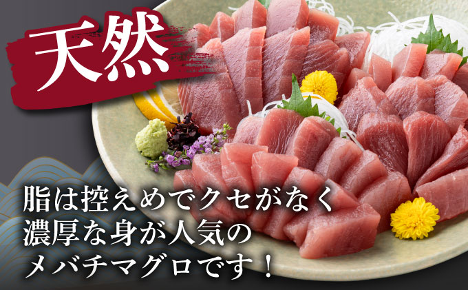 【訳あり】天然メバチマグロ 500ｇ (不揃い柵)　サク 柵 メバチ 目鉢 マグロ 鮪 まぐろ 100% 冷凍 刺身 海鮮 丼 刺し身 小分け 高知 室戸 7000円