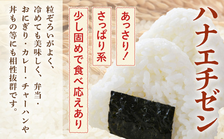 【先行予約】【令和7年産・新米】【一等米】＜定期便3回＞ ハナエチゼン 精米 10kg × 3回（30kg）《発送直前精米！》  ／ ブランド米 華越前 ご飯 お米 白米 新鮮 あわら市産 農家直送 