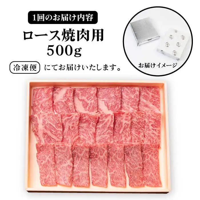 【全12回定期便】《A4～A5ランク》壱岐牛 ロース 500g（焼肉用）[JBO076] 肉 牛肉 ロース 焼肉 赤身 BBQ  384000 384000円
