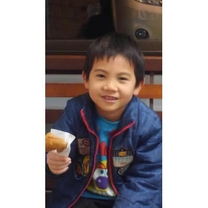 唐揚げ用味付け砂ずり 手羽先 4.6kg ｜唐揚げ NDM