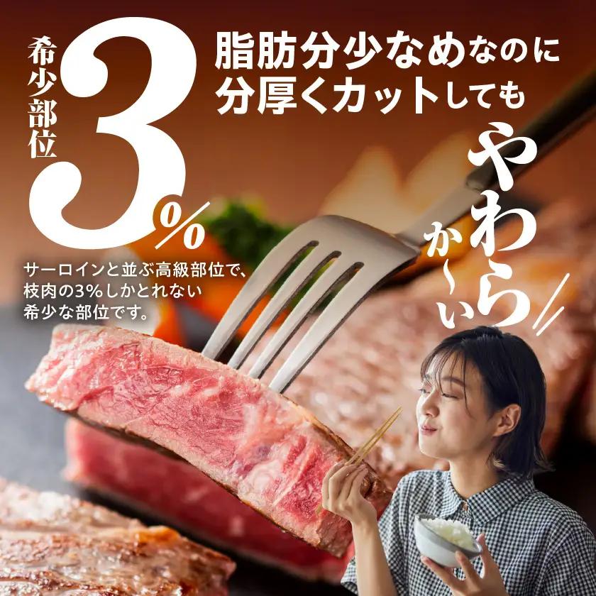 宮崎牛ヒレブロック500g〔22-8905〕_(都城市) 宮崎県産 宮崎牛 真空パック ヒレブロック 高級部位 枝肉の3％ 希少な部位 やわらか 脂肪分が少ない お好みサイズ カット