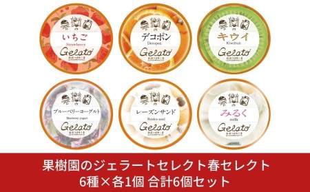 [春期限定]果樹園のジェラートセレクト春セレクト1 [6種×各1個] 合計6個セット ジェラート詰合せ アイス詰合せ ジェラートセット アイスセット 濃厚ジェラート  [田沢農園] 【010S299】