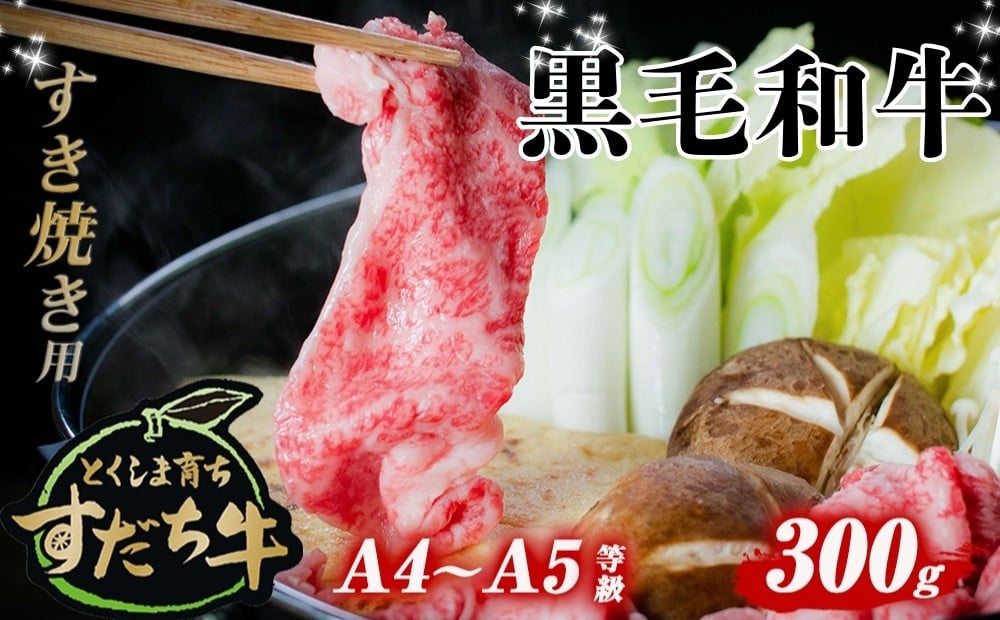 
すだち牛 黒毛和牛 （ すき焼き用 ） 300g 国産 牛肉 すき焼き 赤身 冷凍 お肉 肉 グルメ ギフト 和牛 霜降り カット 小分け
