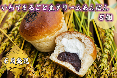 岩手まるごと生クリームあんぱん　5個入り≪6月発送予定≫ 【357-6N】