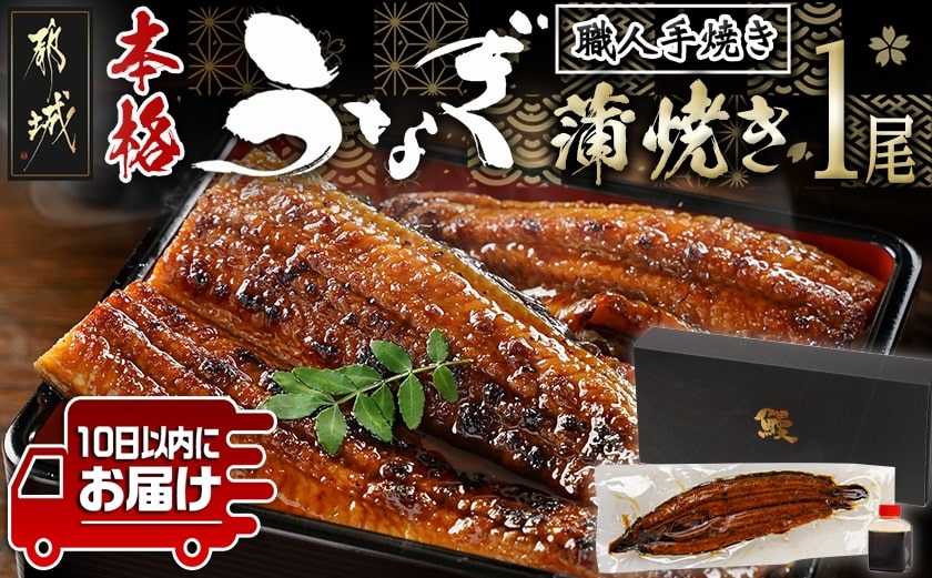 職人手焼きの本格うなぎ蒲焼き1尾≪みやこんじょ特急便≫_LG8-33-003-1-Q