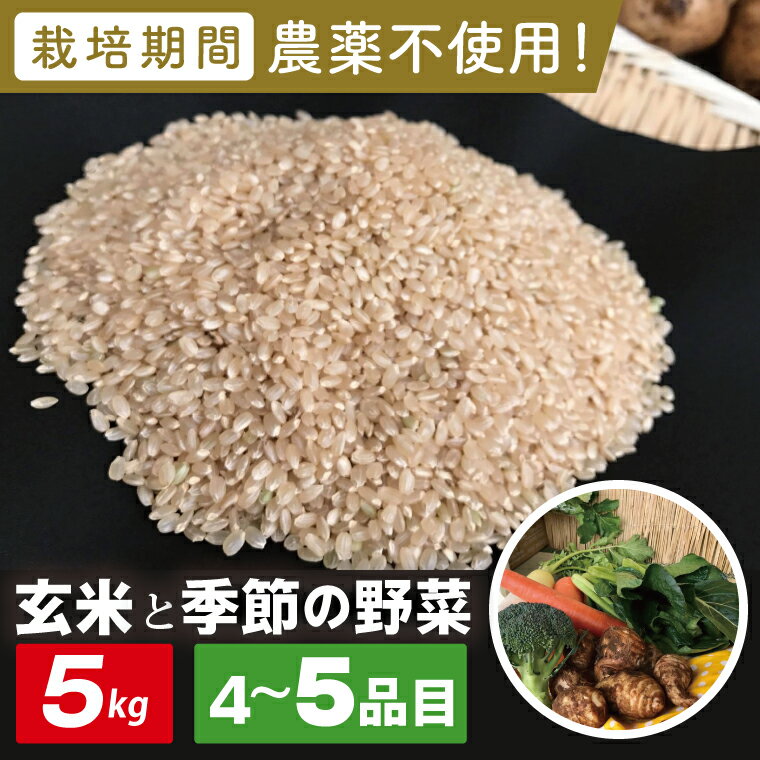 【ふるさと納税】【身体が喜ぶ野菜】玄米5kgと季節の野菜(おまかせ4〜5品)(茨城県共通返礼品／潮来市)｜米 お米 こめ 玄米 野菜 野菜セット 栽培期間農薬不使用 無農薬 減農薬 茨城県共通返礼品 共通返礼品 茨城県 潮来市 行方市(BI-108)