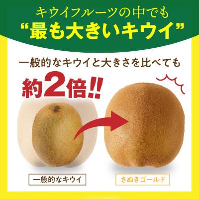 ふるさと納税 三木町 さぬきゴールドキウイ　約2.5kg |  | 02