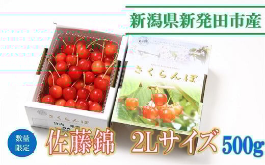 【数量限定】佐藤錦2L 500g　C05_01