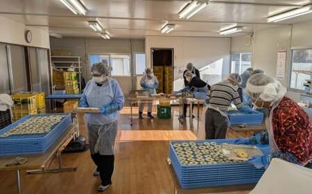 乾燥りんご 「ソフトチップ りんごさん」 30g×4袋 輪切り お菓子 おやつ 作業所きらり