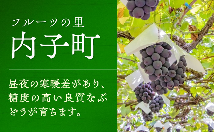 内子夢わいん 白ワイン (ロザリオ) 約720ml 2本 / ワイン ロザリオワイン わいん wine お酒 酒 洋酒 愛媛県 愛媛 内子町 国産ワイン 日本ワイン 果実酒 送料無料 人気 家飲み 宅