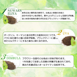 紅茶 茶葉 スリランカ フレッシュティー ティー  5大産地 セット 100g × 5袋 ギフト プレゼント フレッシュ お茶 紅茶セット 新鮮 香り 風味 紅茶専門店 イソブチカンパニー 神奈川 湘