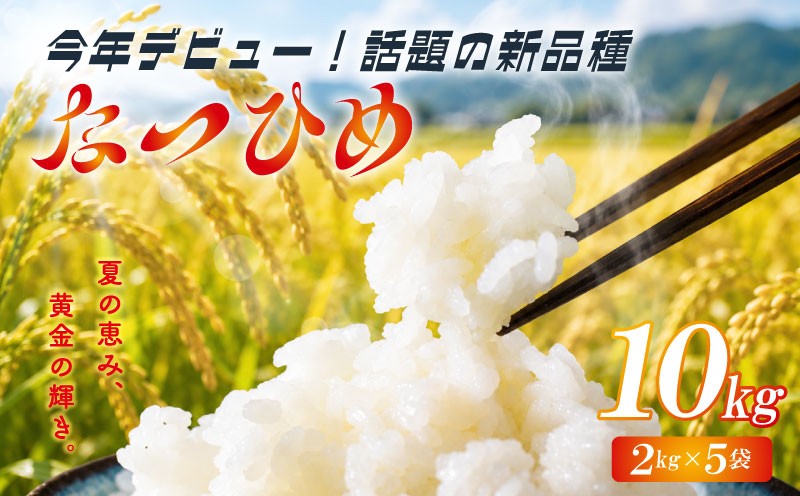 
                  【先行予約】 なつひめ 10kg 新米 新品種 令和8年産 米 白米 こめ 大粒 ごはん おにぎり お弁当 農家直送 産地直送 ふるさと納税 川瀬農園 新潟 新潟県 新発田市 kwsNH002
                