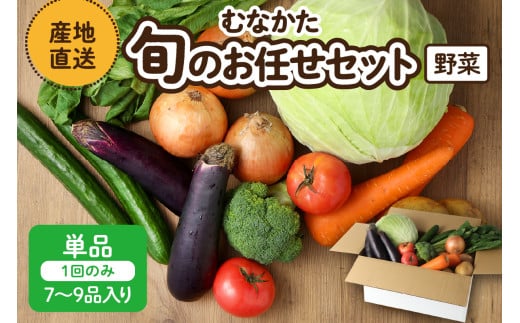 【レビューCP対象】むなかた旬のお任せセット(野菜) 7～9品【JAほたるの里】_HA1569