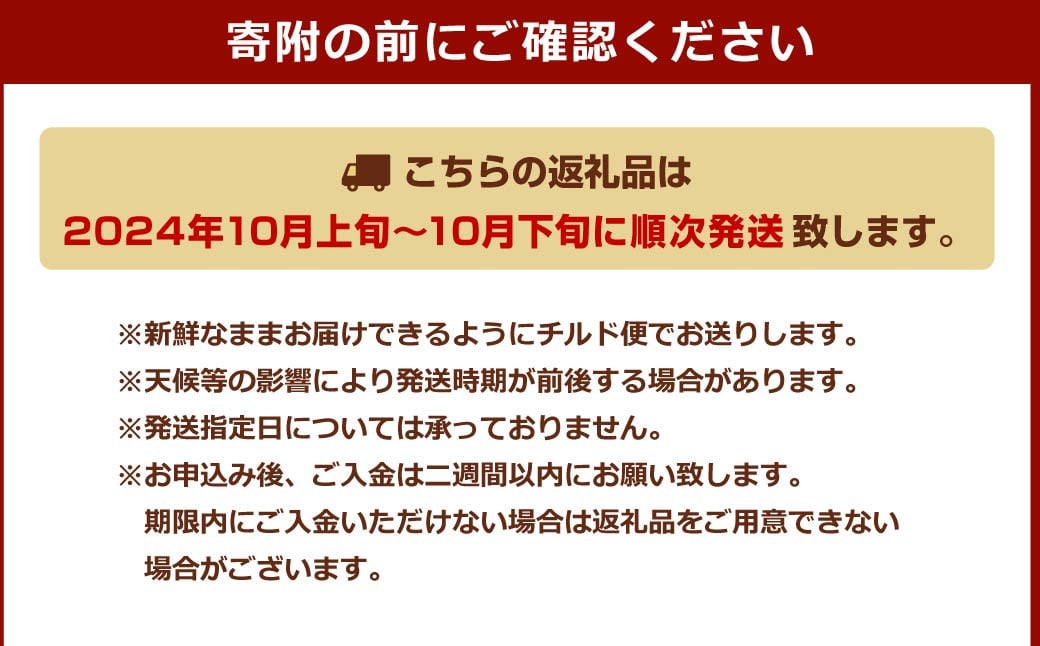 年に1度の青々とした若さをお届け！希少な嘉麻ひすい根付き枝付き 生枝豆 約500g 【2024年10月上旬～10月下旬発送予定】 希少 青大豆 キヨミドリ