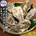 【ふるさと納税】厚岸産カキえもんL10個・サッポロクラシック6本セット　【魚介類・カキ・牡蠣・お酒・ビール】　お届け：2023年11月～2024年7月31日まで