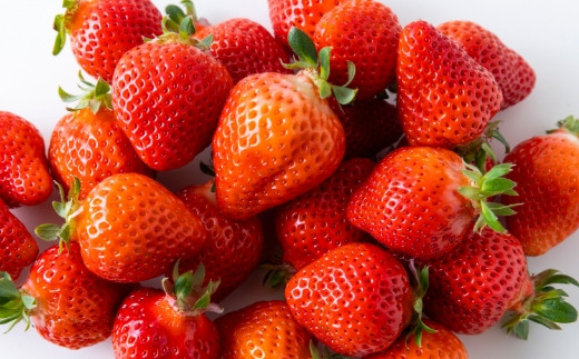 千年いちご あまおうイチゴ (300g×4パック) 2月お届け あまおう いちご イチゴ 苺 フルーツ 果物 冷蔵 送料無料 福岡県 うきは市 【2026年2月より順次発送予定】