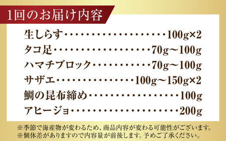 【全3回定期便】新鮮なお魚盛りだくさん！海鮮詰合せ「梅」 料理 和食 簡単 レシピ 魚介類 海産物 海鮮 刺身 ギフト お取り寄せ 江田島市/七宝丸[XBY014]