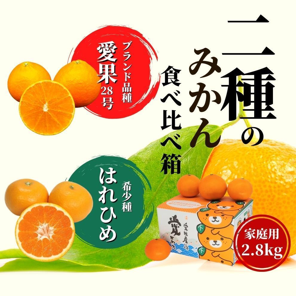 【ふるさと納税】【早期予約受付中！2025年12月～順次発送】二種のみかん食べ比べ箱 愛果28号・はれひめ 家庭用 約2.8kg | 愛果28号 まどんな 柑橘 みかん 果物 くだもの フルーツ おすすめ 高級 人気 お取り寄せ グルメ ギフト 期間限定 数量限定 ご当地 愛媛県 松山市