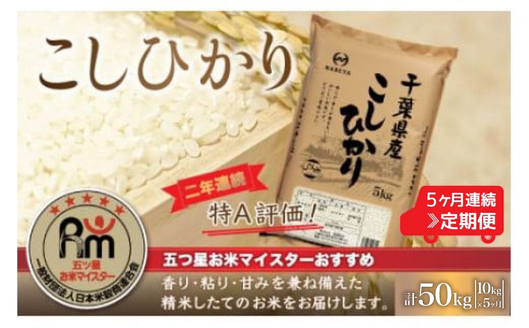 
                  ＜5ヶ月定期便＞2年連続特A評価！千葉県産コシヒカリ10kg×5ヶ月連続 計50kg ふるさと納税 米 お米 定期便 10kg 5か月 50kg 千葉県産 大網白里市コシヒカリ 精米 こめ 送料無料 E036
                