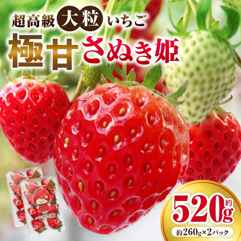 【ふるさと納税】超高級大粒いちご 極甘さぬき姫260g×2パック(ハンモックトレー)　いちご 大粒 高級 さぬき姫 果物 フルーツ おすすめ 旬 イチゴ グルメ 季節 旬の果物 ギフト スイーツ パック 果実 贈り物 デザート 人気 果肉 生鮮食品 国産 冷蔵 香川県 三木町
