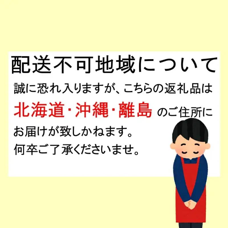 すもも フランコ 田辺市産すもも 2kg 【mtm003-1】