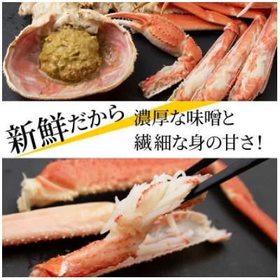 ふるさと納税 白老町 ゆでたて冷蔵便 8尾から15尾で2kg 訳あり オオズワイガニ(オス・メスおまかせ) |  | 01