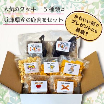 ふるさと納税 神戸市 犬用クッキースペシャルセット(クッキー5種類、ひょうごニホンジカミート) |  | 03