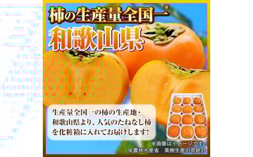 先行予約【秋の味覚】和歌山産のたねなし柿2L～4Lサイズ約4kg（化粧箱入り）厳選館《10月上旬-11月上旬頃出荷》カキかきジューシー---wshg_tmt253_10j11j_25_16000_4k