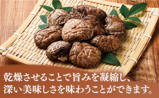 対馬 原木 椎茸 ステーキ 小5枚入り ×4個《 対馬市 》【 うえはら株式会社 】 対馬 しいたけ 森のアワビ 出汁 肉厚 食感 旨味 香り グルタミン酸 簡単 時短 [WAI083]