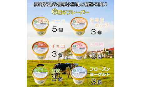 長門牧場アイスクリーム20個セットA-4　6種のフレーバー詰め合わせ（バニラ、チョコレート、抹茶、ヨーグルト、いちご、あんず）　人気スイーツ　濃厚ミルク　直送　牛乳　生乳　国産　夏ギフト　長野県　贈答