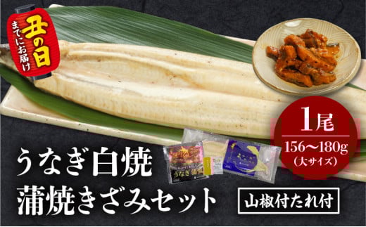 《丑の日までにお届け予定(7月1日～7月19日)》うなぎ白焼(大サイズ)・きざみセット_M069-021-U1