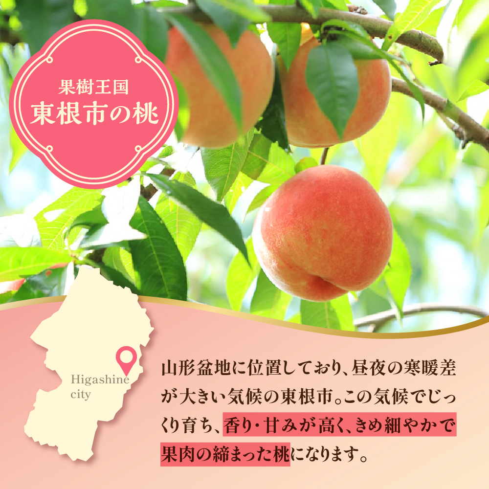 【2026年産 先行予約】もも (品種おまかせ) 5kg JA提供 山形県 東根市 hi003-157