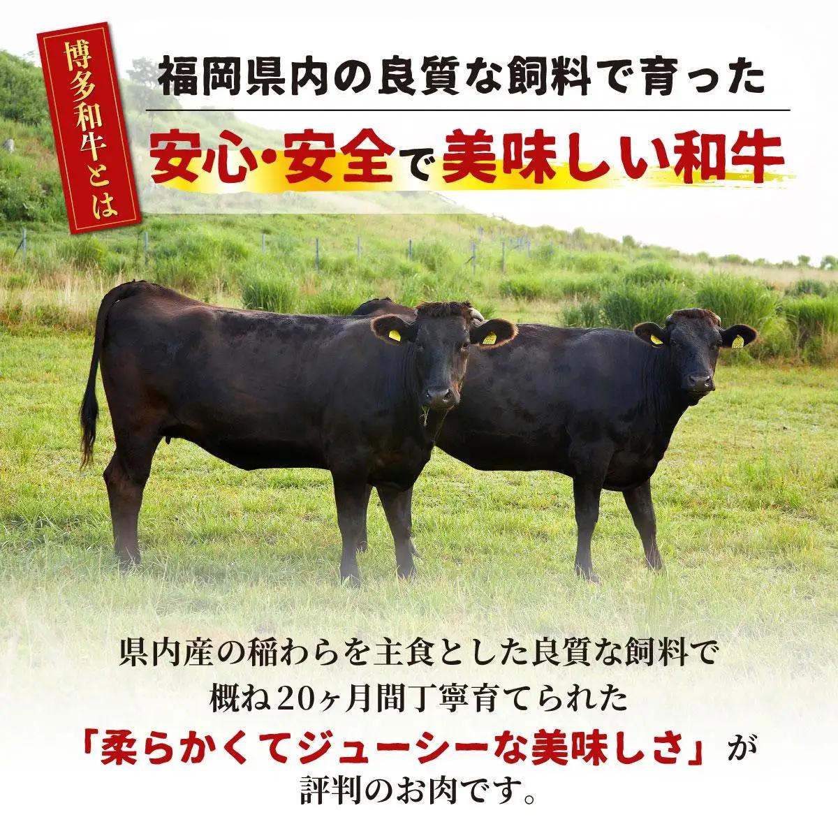 寄附額改定↓ 博多和牛のサイコロステーキ(肉専用にんにく塩付)