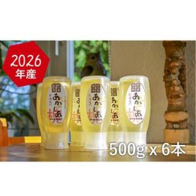 ふるさと納税 幕別町 アカシア蜂蜜500g×6[53691109]