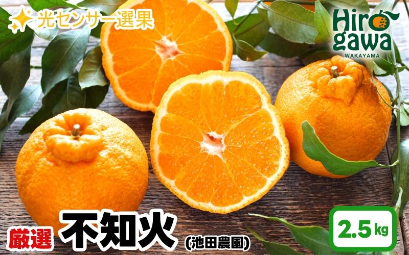 不知火 （ しらぬい ） 2.5kg+250g（痛み補償分） 厳選 光センサー / デコポン 高級 甘い 和歌山 柑橘 ※2027年2月上旬～4月下旬に順次発送 ※北海道・沖縄・離島への配送不可 【ikd010-p-2d5C】
