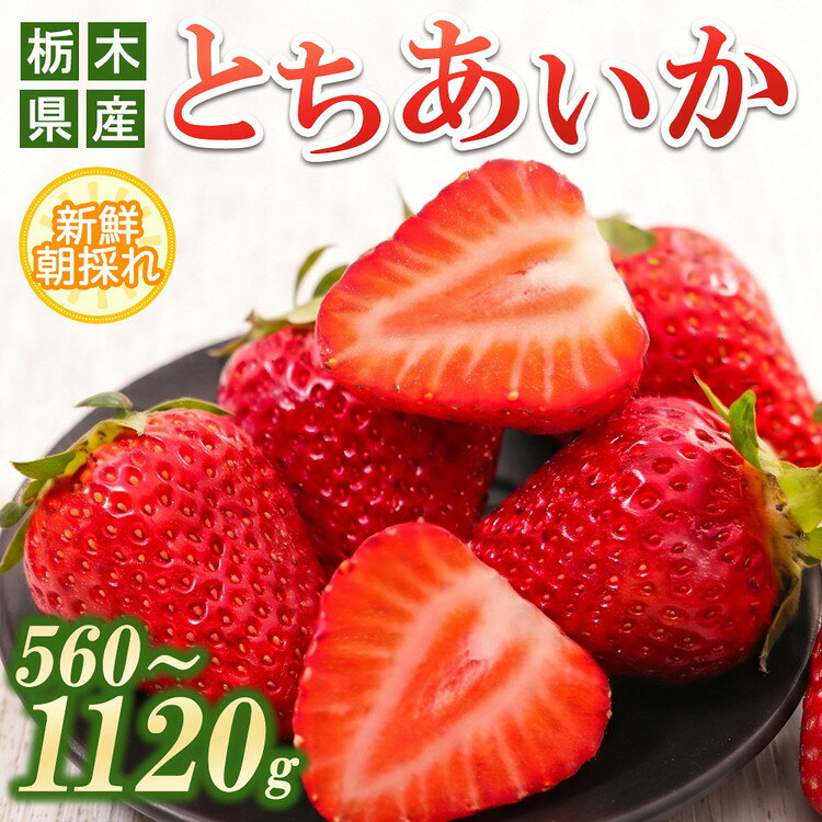 【ふるさと納税】＼選べる内容量／さくら市産イチゴ　とちあいか 280g×2パック/280g×4パック ※2026年12月～発送